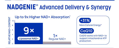 Selerb NAD+ para Hombres – Energía Celular, Circulación y Salud Prostática
