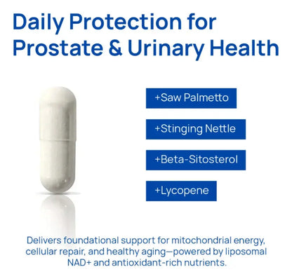 Selerb NAD+ para Hombres – Energía Celular, Circulación y Salud Prostática