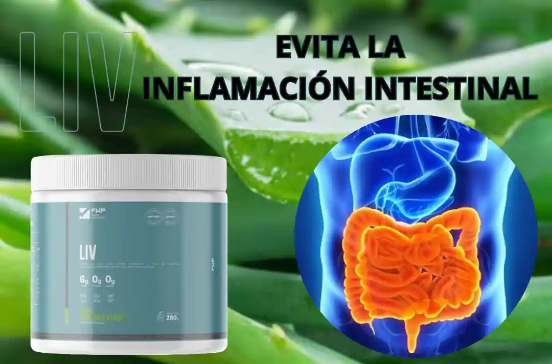 LIV - Fibra, Probióticos, digestión y Control de Peso
